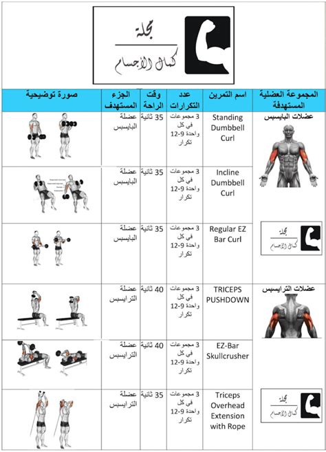 جدول تمرين العضلات